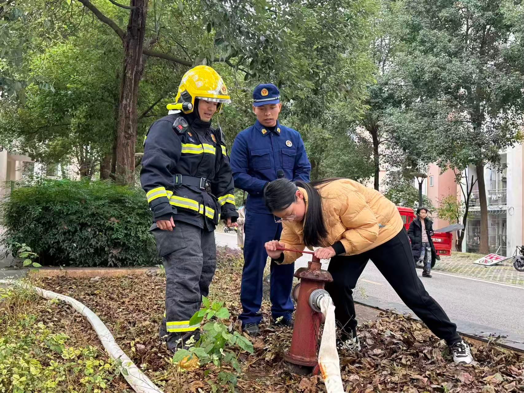 1763624696585094682.jpg 照片4.jpg