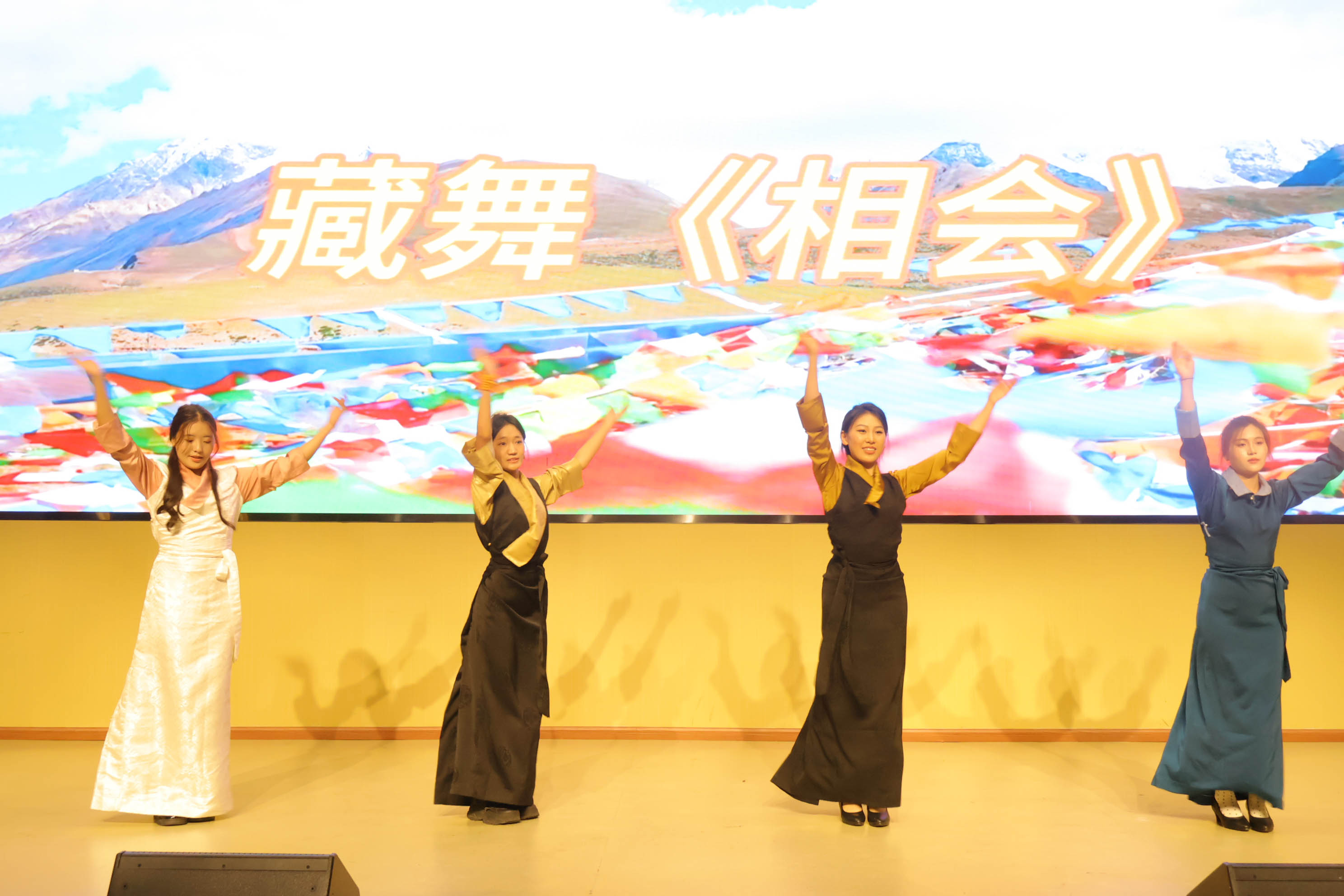 1766131979357000274.jpg 7.jpg