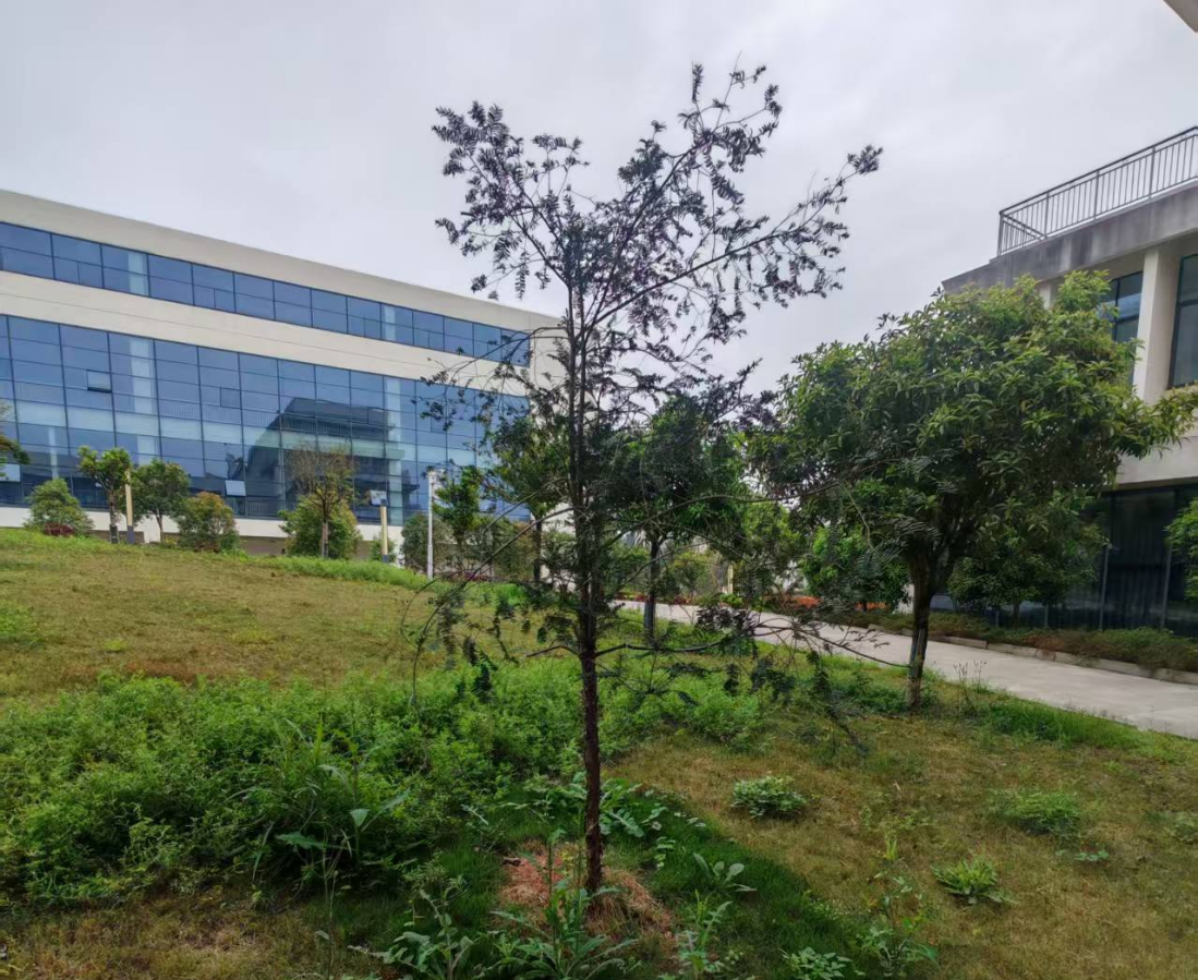 1773306750025003534.png image.png