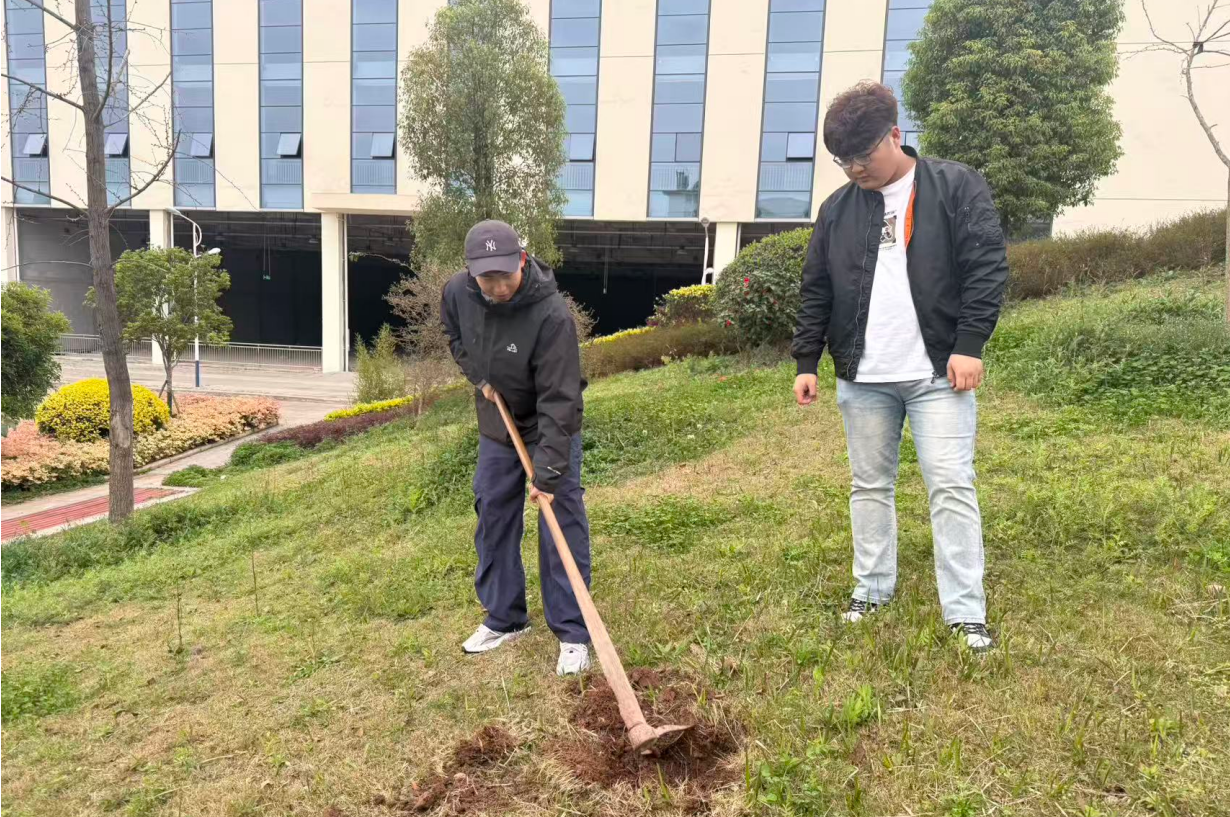 1773306783466028244.png image.png