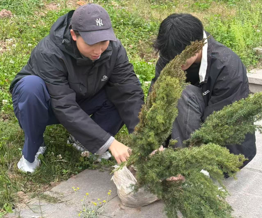 1773306848848086190.png image.png