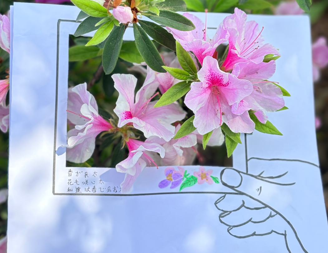 1774594216764026979.png image.png